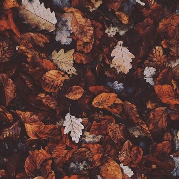 Anything and everything we no longer have any use for. I'll try anything once!! - Picture 2 of 2